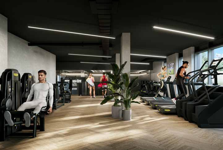 Gymnasium