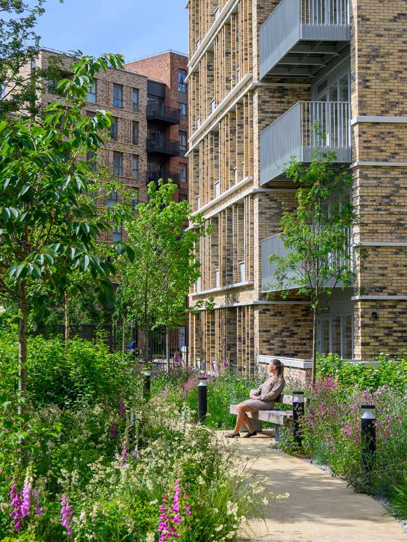 Planting and walkways between the buildings at Alexandra Gate